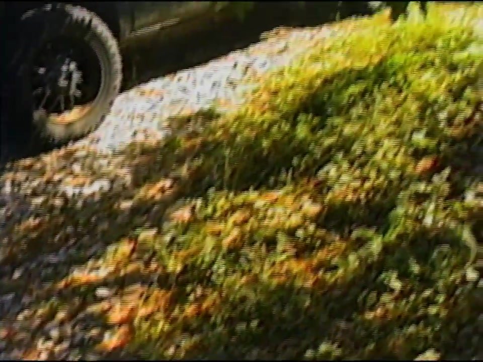 fall 2024 - liminality feels best all alone