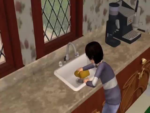 Harry Potter and the Philosophers Stone- Sims 2- The Vanishing Glass