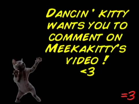 BAMBI HIT BY A CAR!!