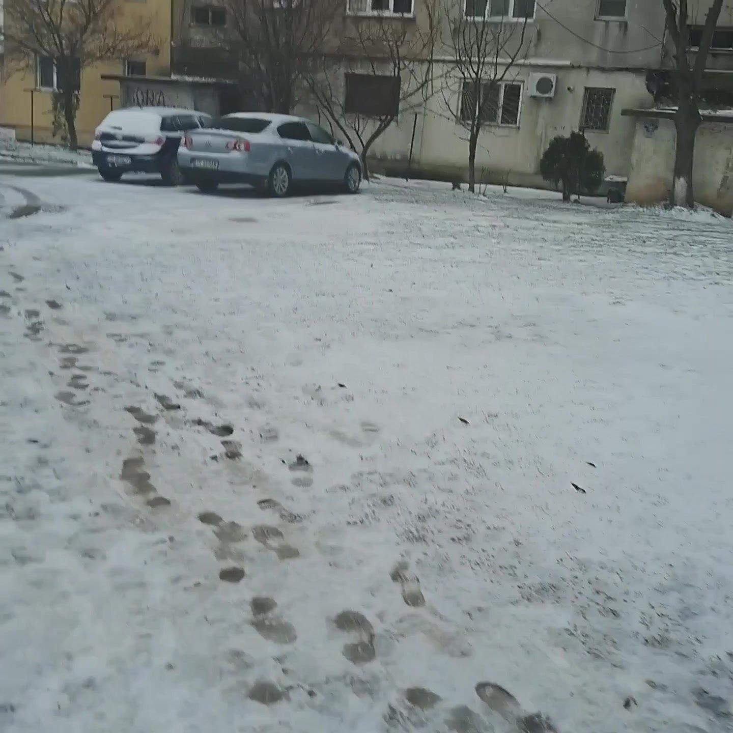 Taking a walk in the snow