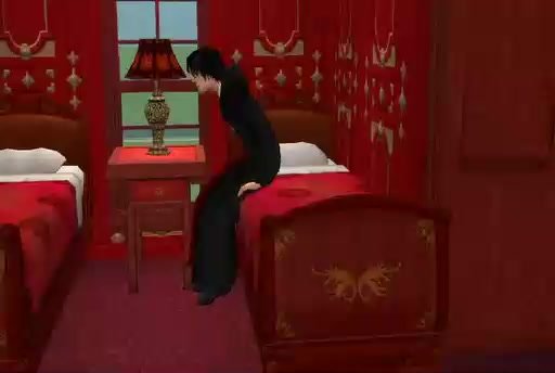 Sims 2 -Harry Potter and The Order of The Phoenix-ch.14