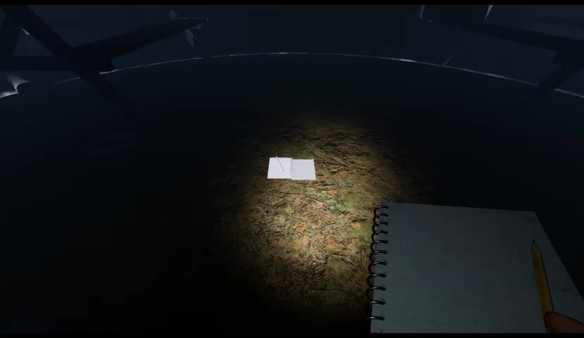 We are professionals, I swear.