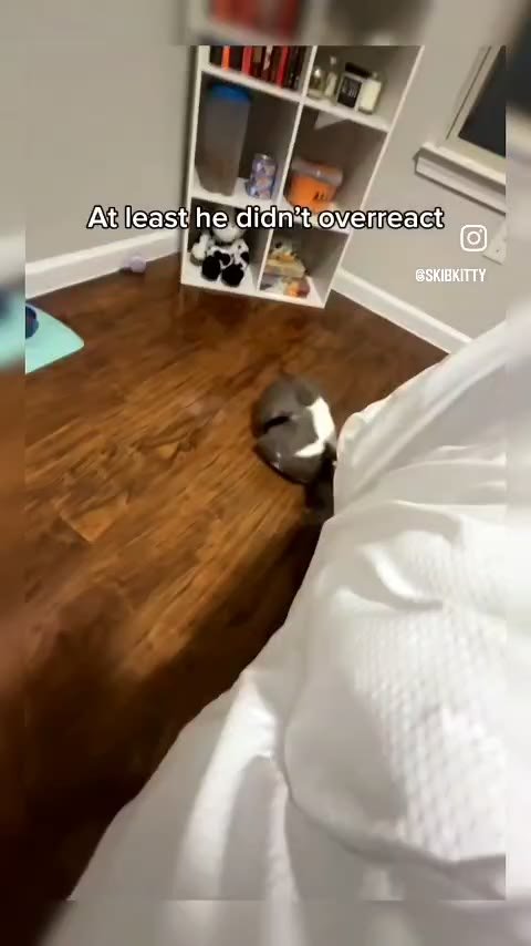 at least he didnt overreact :3